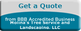 Molina's Tree Service & Landscaping, Tree Service, Raleigh, NC